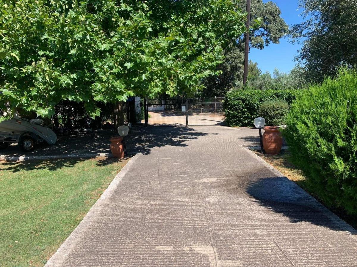 Loga Paralia Dikella Evros Mesimvria  Exteriör bild
